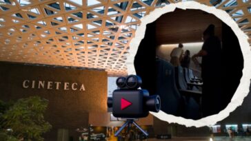 lady cineteca