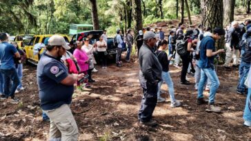 250 voluntarios participan en la reforestación del Bosque de Ahuatepec