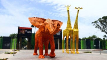Con sarna y desnutrición encontraron a osa en zoológico de Nuevo León
