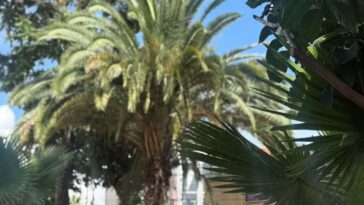 Cuernavaca1 (1)