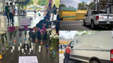 El ataque en el CCH Sur: ¿Quién es Lex Ashton y por qué su madre alertó al 911 antes de la tragedia?