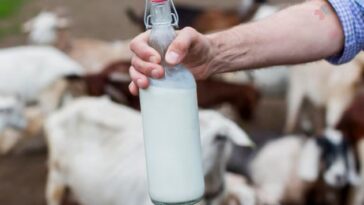 Alerta Leche