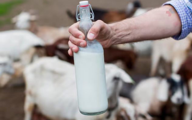 Alerta Leche