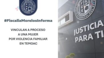 Mujer agredir pareja