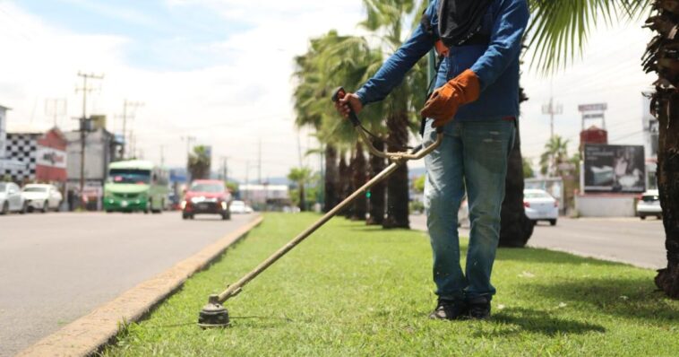 Avanza Jiutepec con luminarias y mantenimiento de áreas verdes
