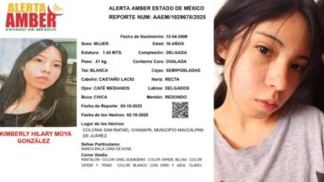 Desmienten videos de la joven desaparecida del CCH Naucalpan