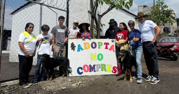 En marcha mini campañas de esterilización canina y felina