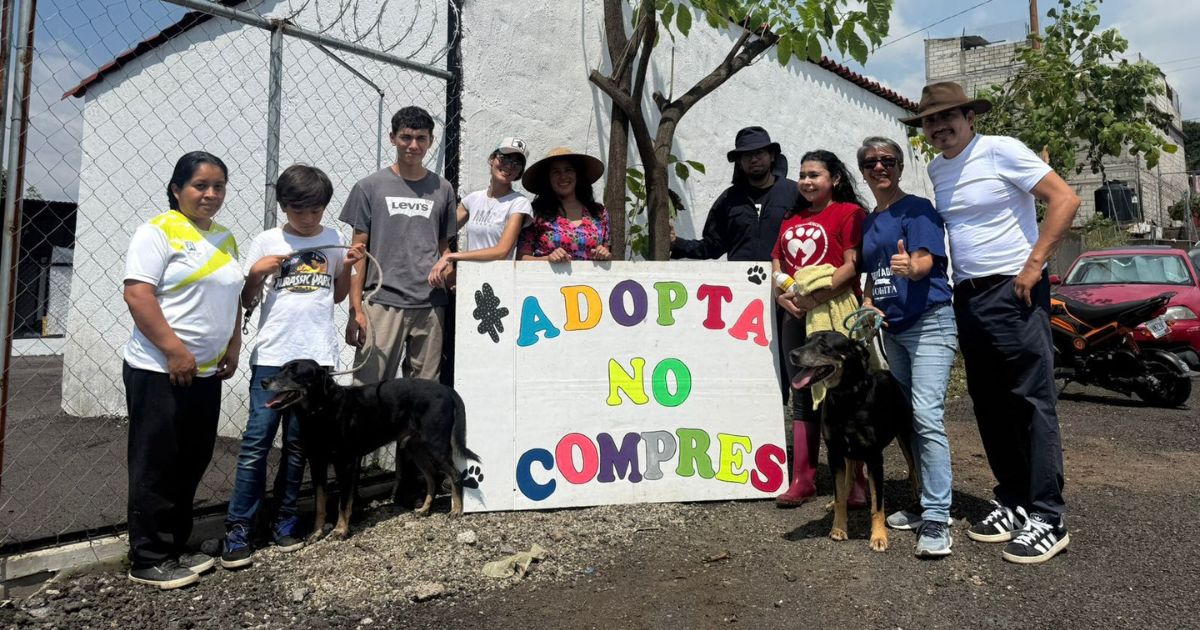 En marcha mini campañas de esterilización canina y felina