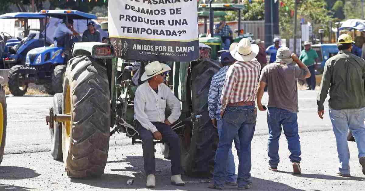 Este fue el acuerdo con los agricultores del maíz