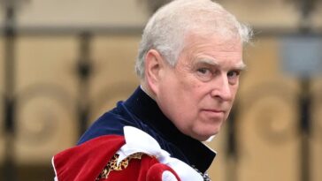 Inician proceso del retiro de títulos del príncipe Andrés