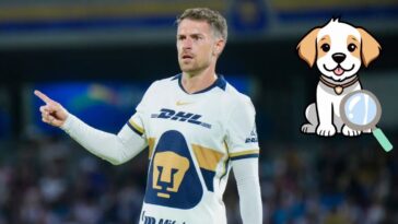 Jugador de Pumas ofrece gran recompensa para encontrar a su perro