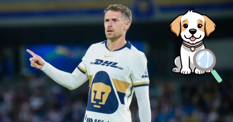 Jugador de Pumas ofrece gran recompensa para encontrar a su perro