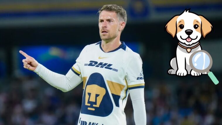 Jugador de Pumas ofrece gran recompensa para encontrar a su perro