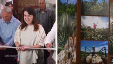 legado mezcalero Morelos