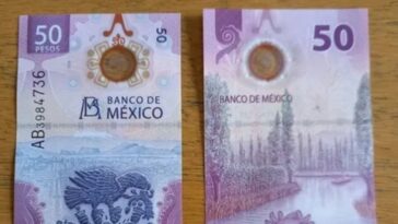 Más de 12 millones de “ajolotitos” no han sido gastado por mexicanos