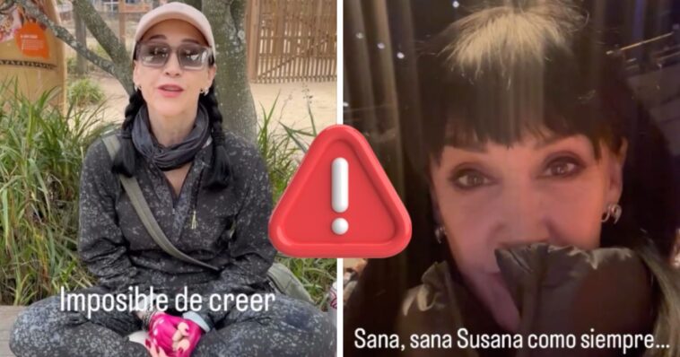 Susana Zabaleta robo