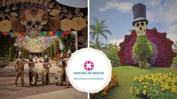 Tlalmanalli 2025 jardines de méxico
