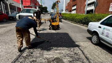 Trabajos de bacheo en Tulipan Hawaiano y Calle Sonora
