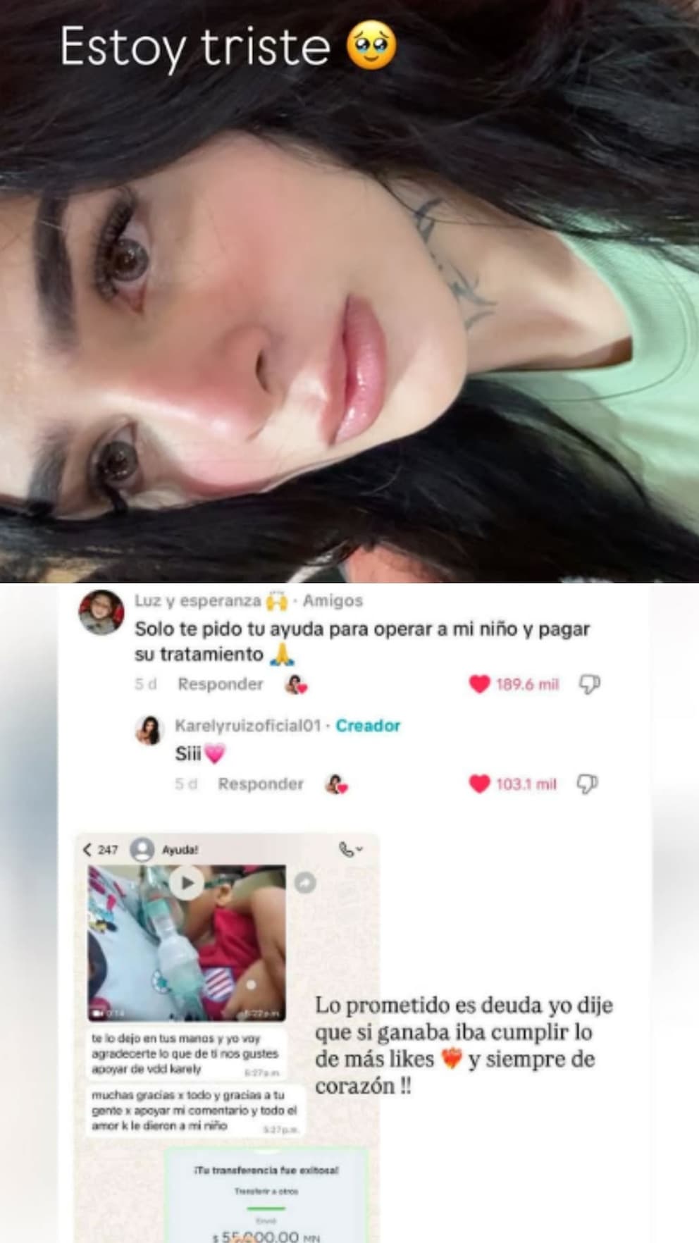 karely ruiz donación