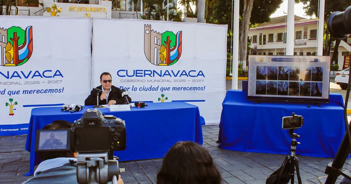 Cuernavaca aclara retiro de árboles en colonia Reforma