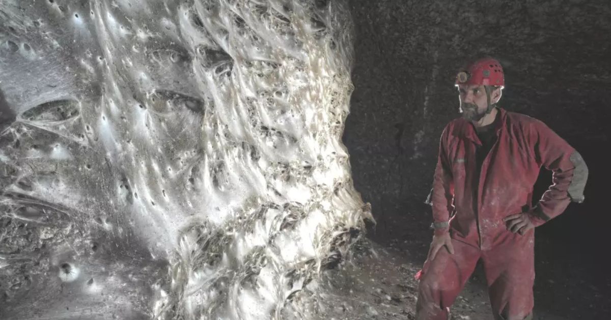 Descubren telaraña con más de 100 mil arañas vivas