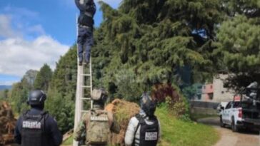 Cámaras parasitas Huitzilac