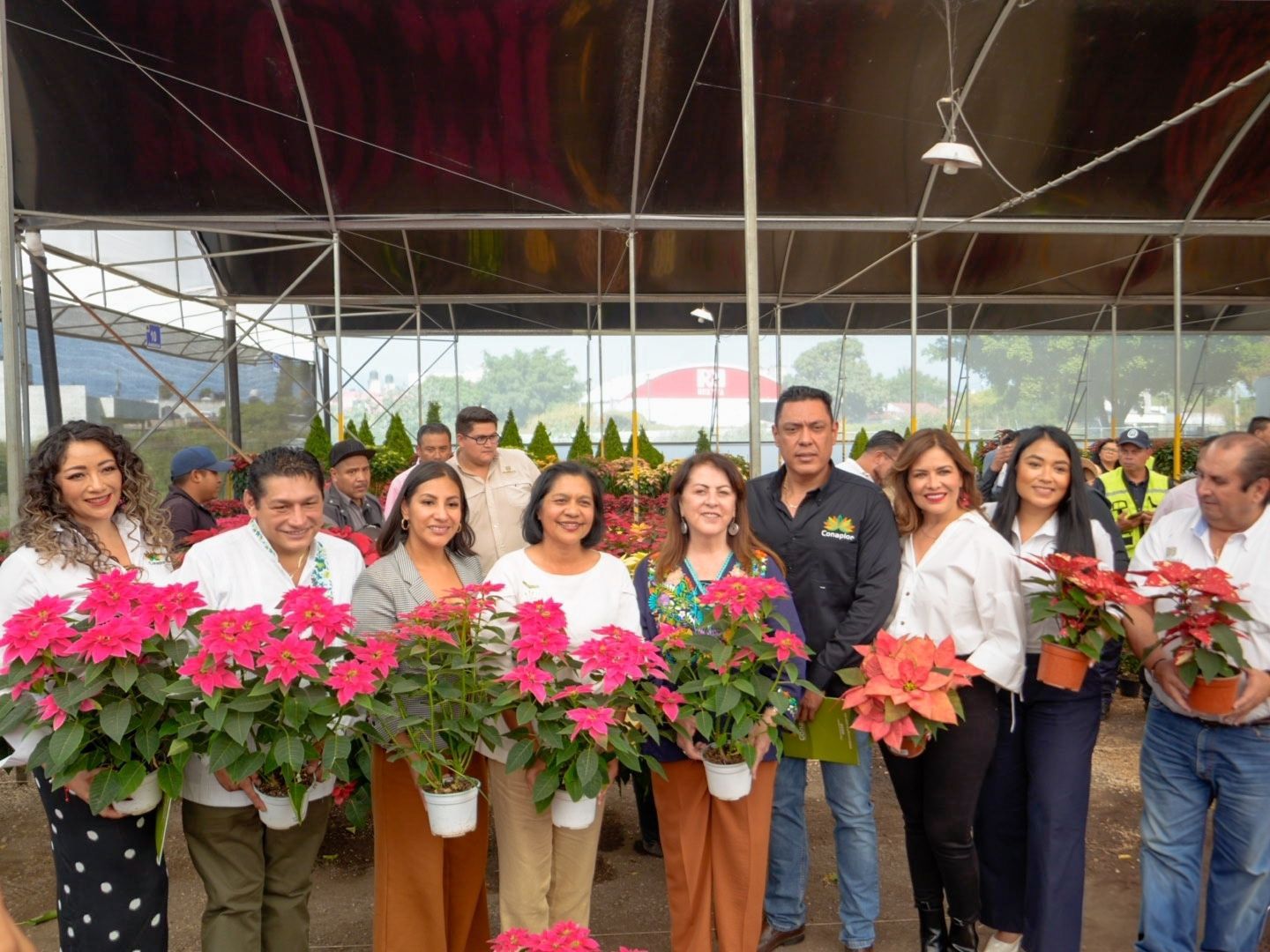 Flor Nochebuena Cuautla