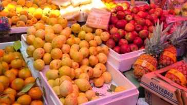 Prepara ponche con frutas del campo morelense