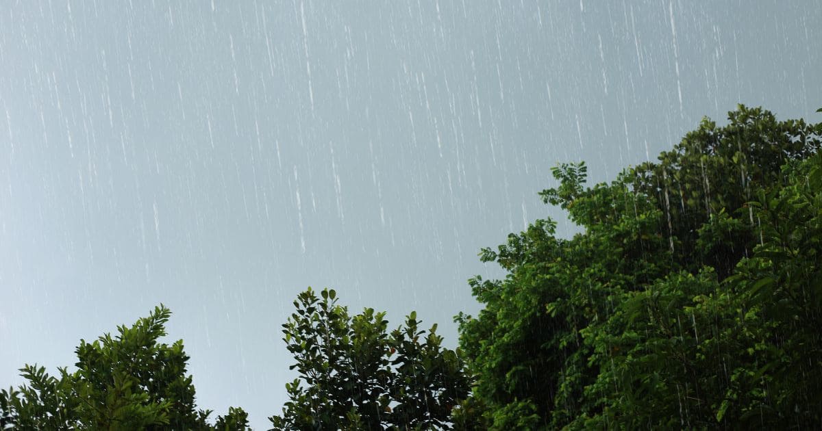 clima (1)