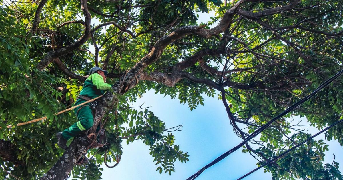 Refuerzan trabajos de mantenimiento en Cuernavaca