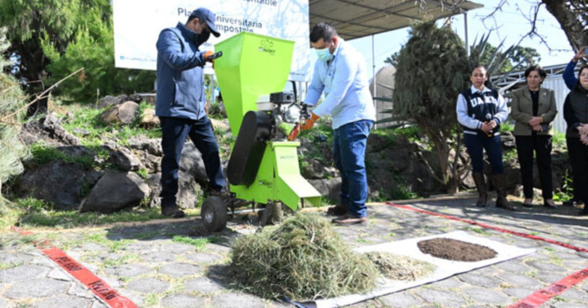 Continúa la Campaña de Acopio de Árboles de Navidad en la UAEM