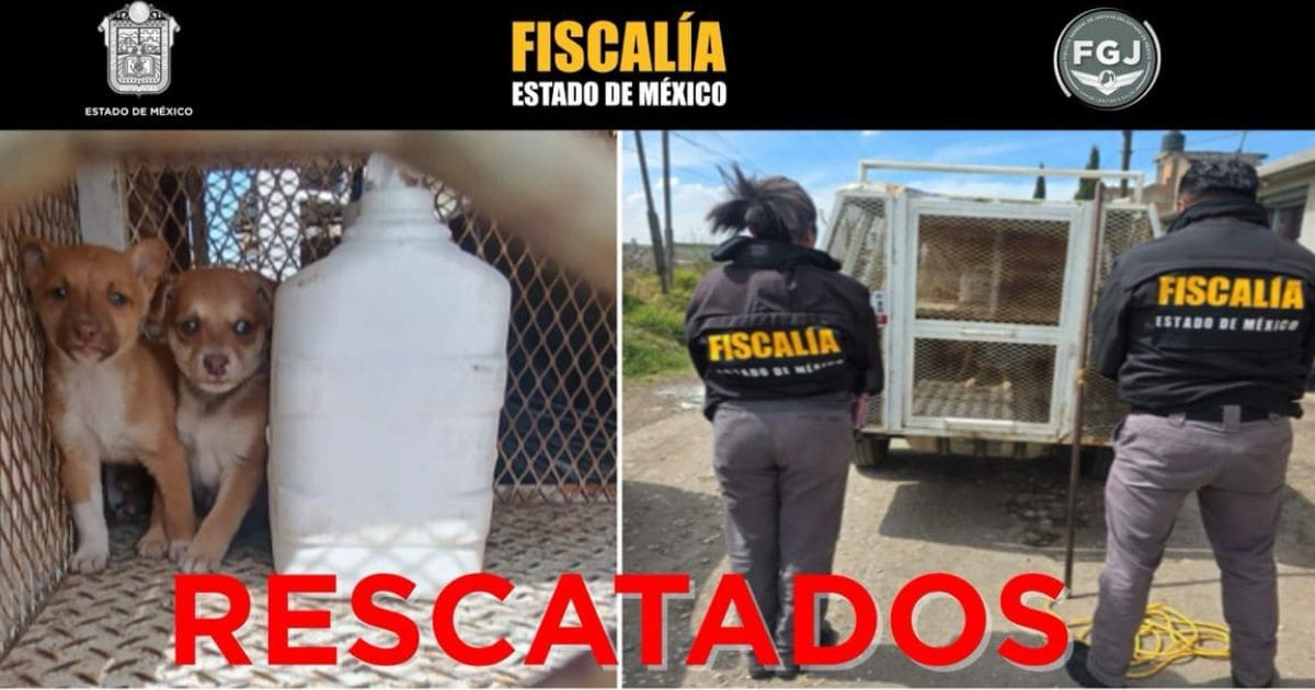 Edomex (1)