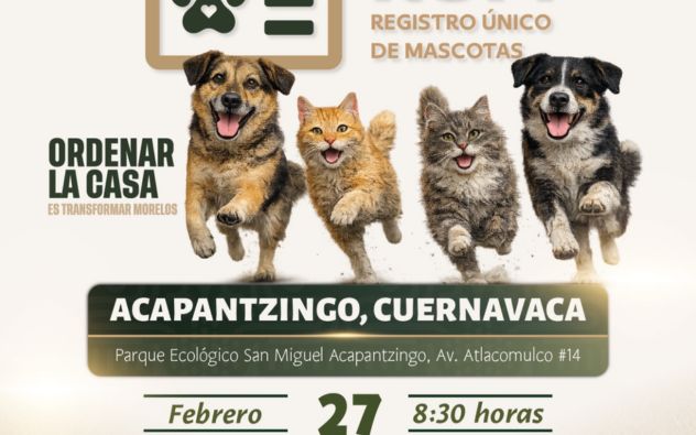 Esterilización Acapantzingo