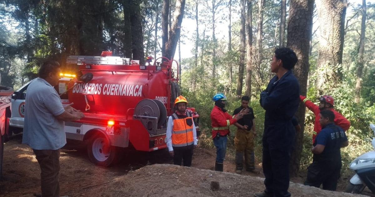 Incendio forestal (1)