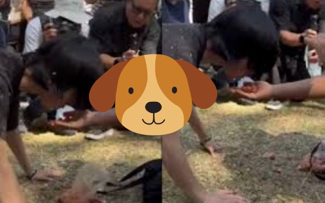 Joven como croquetas