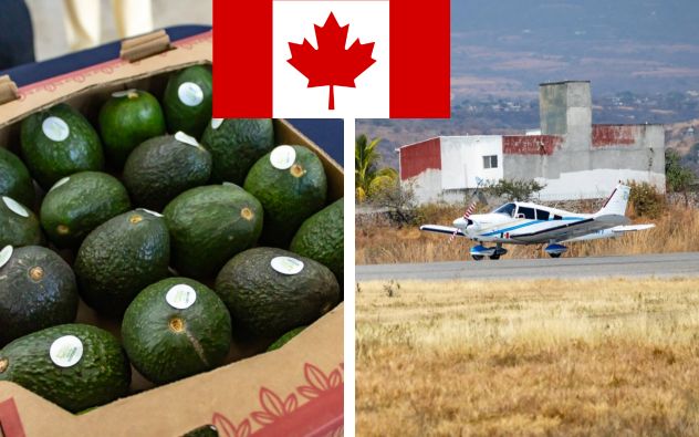 Morelos y Canadá acuerdan alianza aérea para exportar productos agroindustriales