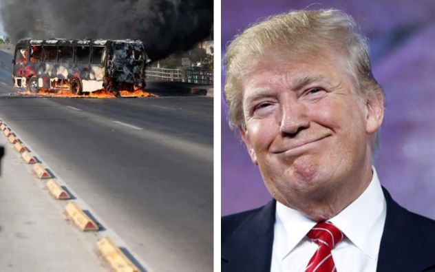 Trump carteles México