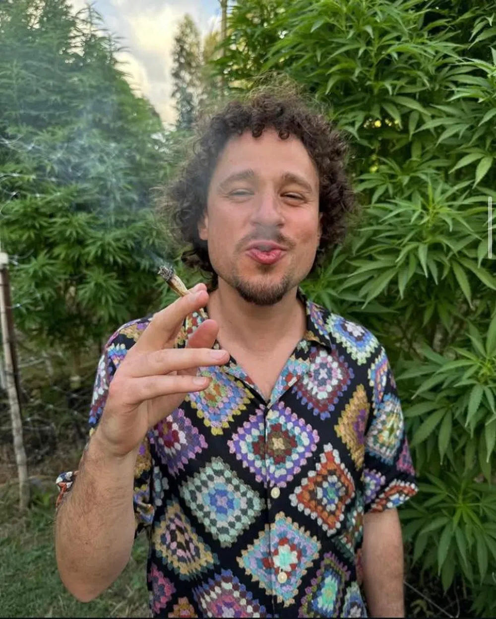 luisito comunica marihuana