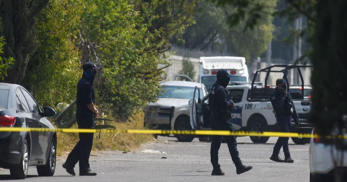 Hombre en estado de ebriedad libera a leones en Ocoyoacac