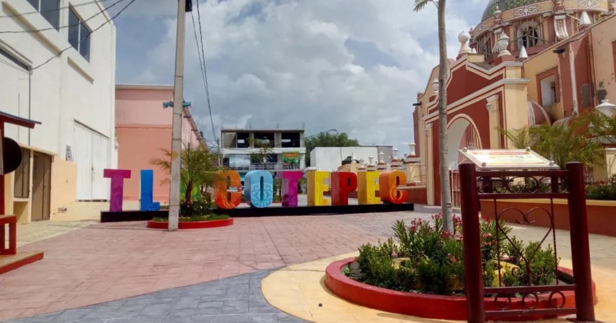 Hallan a 18 perritos sin vida en Tlacotepec de Benito Juárez