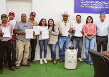 Ayuntamiento entrega dosis de mejora genética a ganaderos de Cuernavaca