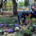 Ciudadanos y empresas rehabilitan el Parque Alameda en Cuernavaca