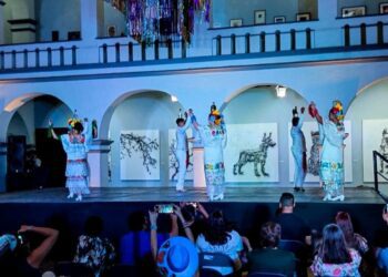 Festival cultural (1)