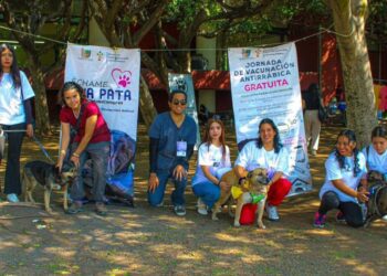 adopción responsable