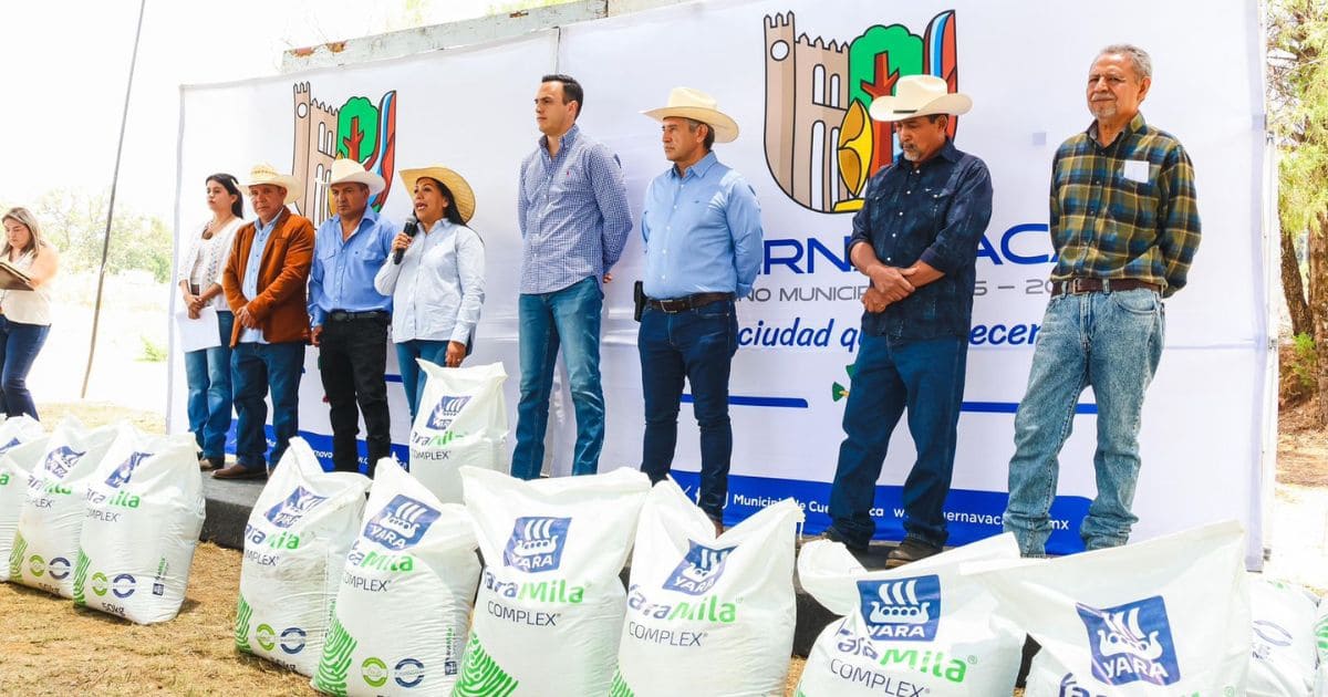 productores aguacate Cuernavaca2 (1)