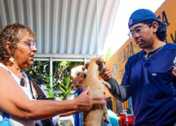 Ayuntamiento de Cuernavaca aplica más de 480 vacunas antirrábicas gratuitas en lo que va del año