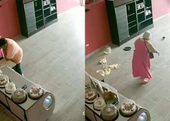 Clientes causan destrozos en pastelería por un "berrinche"