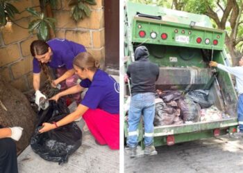 Vecinos y personal del IMC participando en la jornada de limpieza comunitaria en la calle Pino de Cuernavaca, Morelos