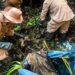 Personal operativo de conservación de barrancas del municipio de Cuernavaca realizando maniobras de desazolve