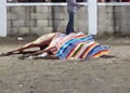 Fallece caballo en jaripeo de Jojutla al ser embestido por toro